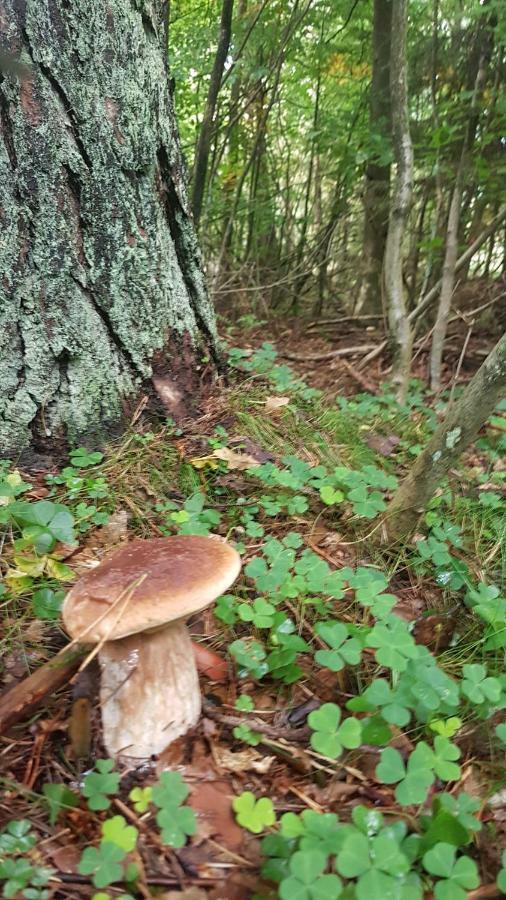 Appartamento Przystan Kapitanat Szczecinek Esterno foto